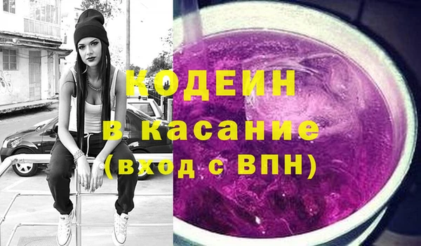 индика Балахна