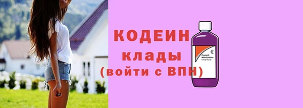 индика Балахна