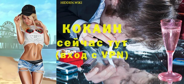 индика Балахна