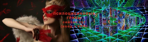 индика Балахна