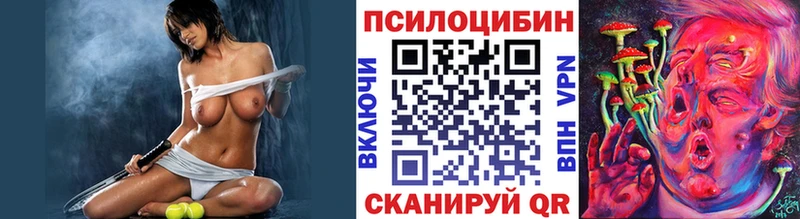 Купить закладки  Бологое  Галлюциногенные грибы прущие грибы 